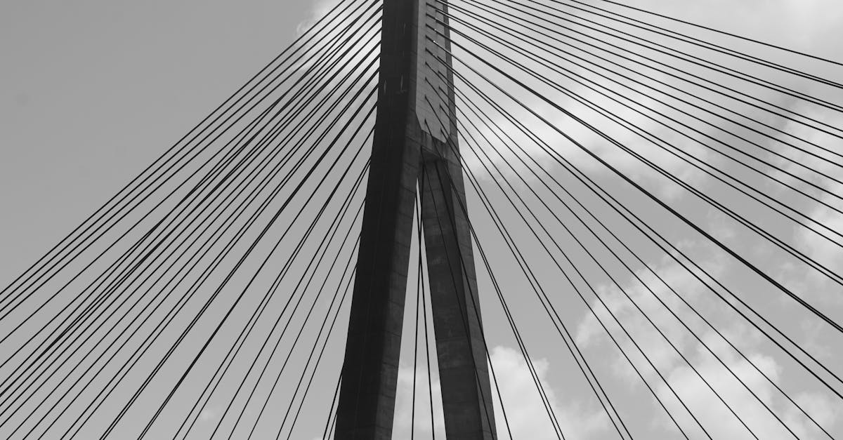 Comprehensive Services That Set Mobile Mechanics Apart in Sydney