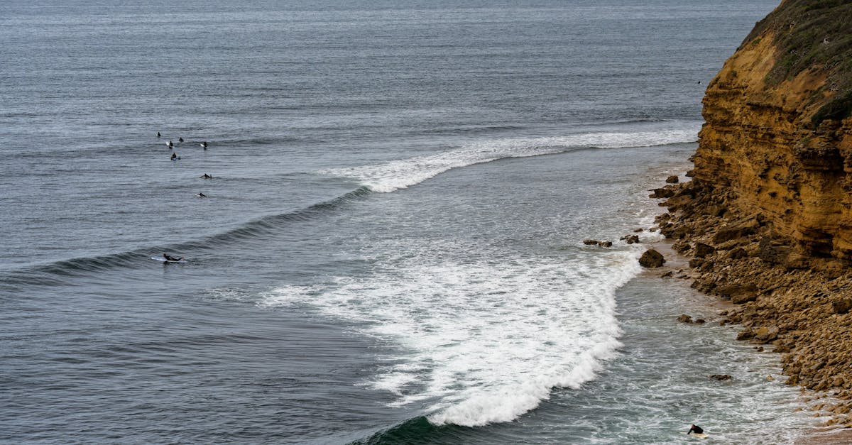 Essential Questions to Ask When Obtaining Quotes from Mobile Mechanics