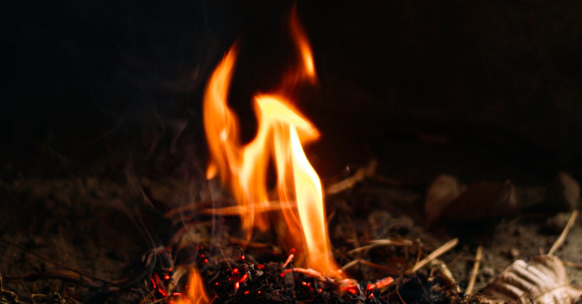 The All-Inclusive Offerings of Mobile Mechanics in Sydney